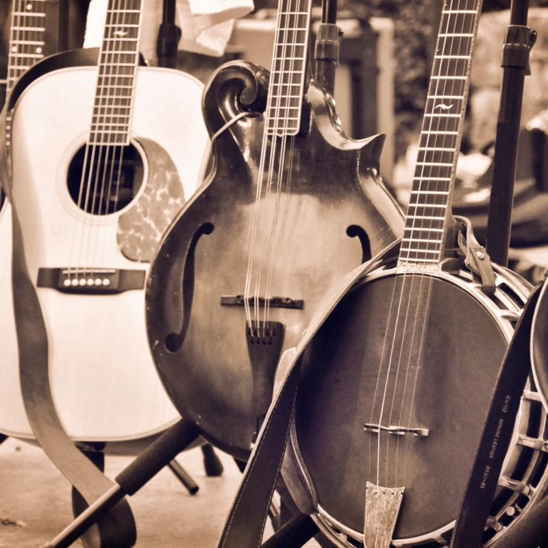 Clifford Essex Music online shop